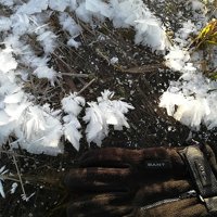 Ice