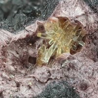Ianthinite, Parauranophane