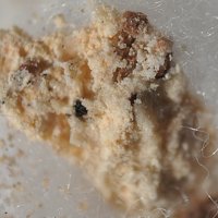 Darapskite, Nitratine