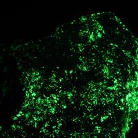 Barysilite, Willemite, Garnet Group