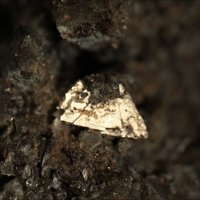 Nabaphite