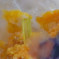 Saléeite, Cyrilovite