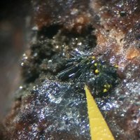 Ianthinite, Schoepite