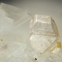 Iimoriite-(Y)