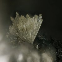 Fassinaite