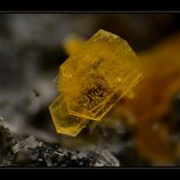 Bazhenovite