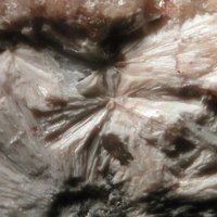 Macdonaldite