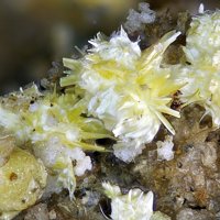 Rabbittite, Schröckingerite