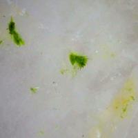 Agardite-(Ce)