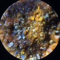 Rakovanite