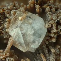 Calcioancylite-(Ce), Aegirine, Neotocite