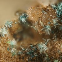 Davidbrownite-(NH4), Antipinite