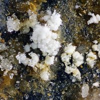 Uklonskovite