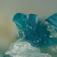 Salesite, Gypsum