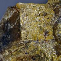 Balestraite