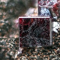 Galkhaite