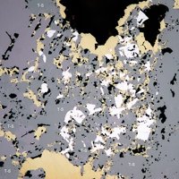 Safflorite, Lautite, Chalcopyrite