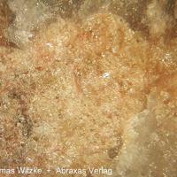 Carbocernaite