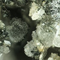 Carlhintzeite