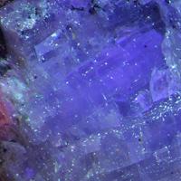 Carletonite, Pectolite, Microcline