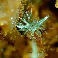 Agardite-(La)