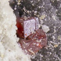 Galkhaite