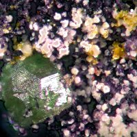 Uranotungstite, Torbernite, Fluorite
