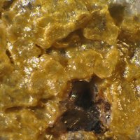 Yakhontovite