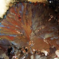 Rammelsbergite, Safflorite, Bismuth