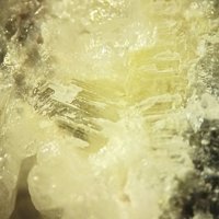 Lanarkite