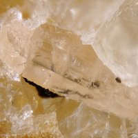 Cayalsite-(Y)-1O, Yttrofluorite