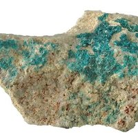 Salesite