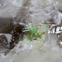 Ulrichite