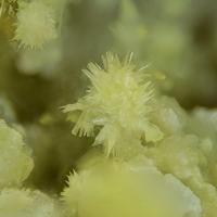 Bayleyite