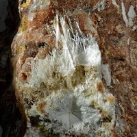 Dawsonite