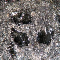 Sacrofanite