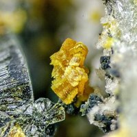 Jahnsite-(MnMnMg)