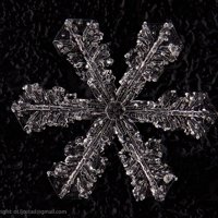 Ice