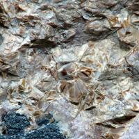 Adelite, Franklinite, Willemite