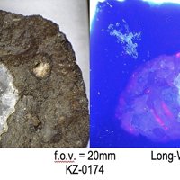 Carpathite