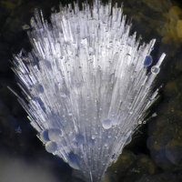 Dachiardite-Ca, Dachiardite-Na, Chalcedony