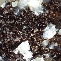 Macfallite