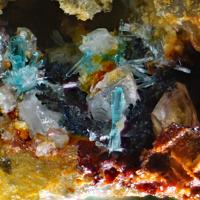 Caledonite, Anglesite, Covellite