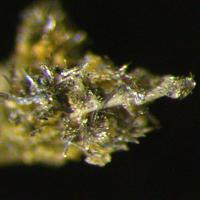 Abramovite