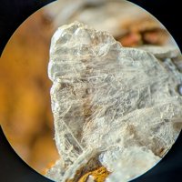 Tainiolite