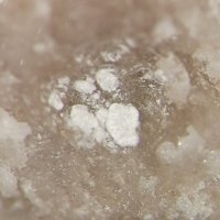 Ulexite