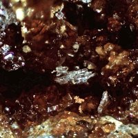 Fairbankite, Winstanleyite, Jarosite