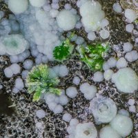 Namibite, Beyerite