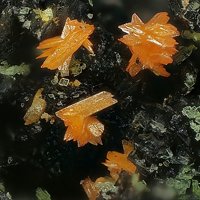 Uranosphaerite, Zeunerite