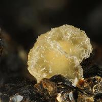 Bainbridgeite-(YCe)